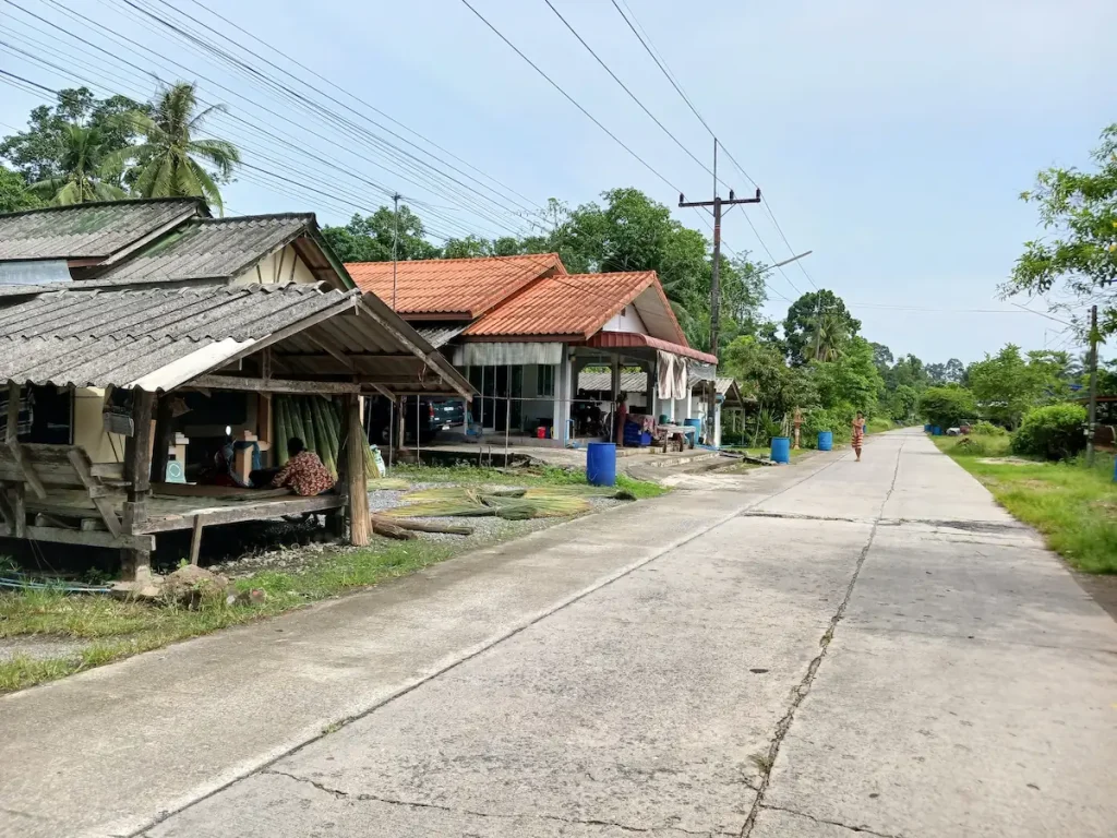 道路沿いに建ち並ぶ木造の家々と
その軒先で天日干しされるカチュー(水草の一種)。
窓や壁のない開放的な造りの家も見られる