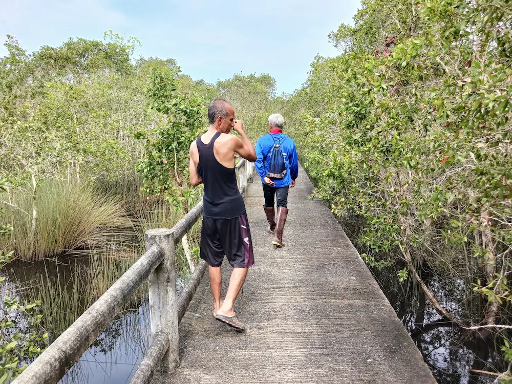 湿地帯の中を貫く道の上を歩く夫と彼の友達。青々としたカチュー(水草の一種)が辺り一面に広がっている
