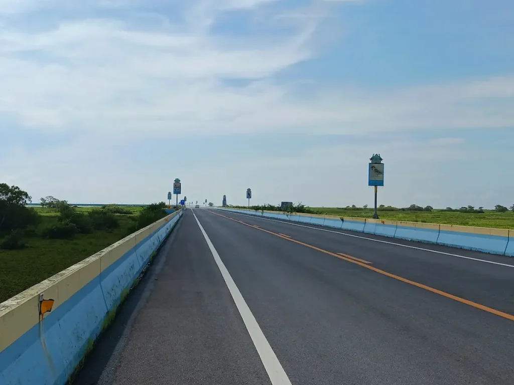 タレノーイ湖を周遊するアスファルト道路と広い青空。道路脇に野鳥などの野生動物を紹介する案内板が立っている