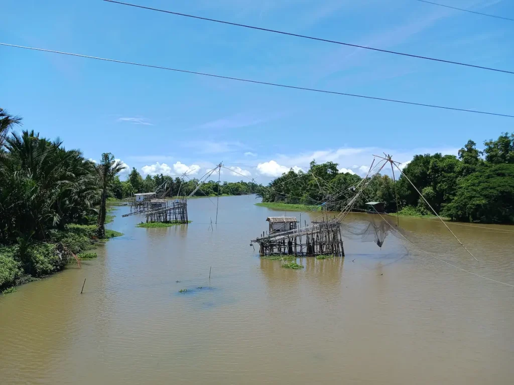 郊外の濁った川に設置された、竹と網で作られたシンプルな漁の仕掛け