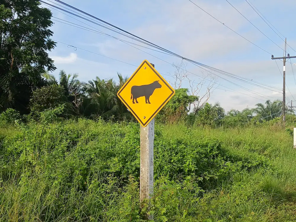 黄色地に黒で牛のマークが描かれた道路標識。標識の後ろに広がる緑と青空