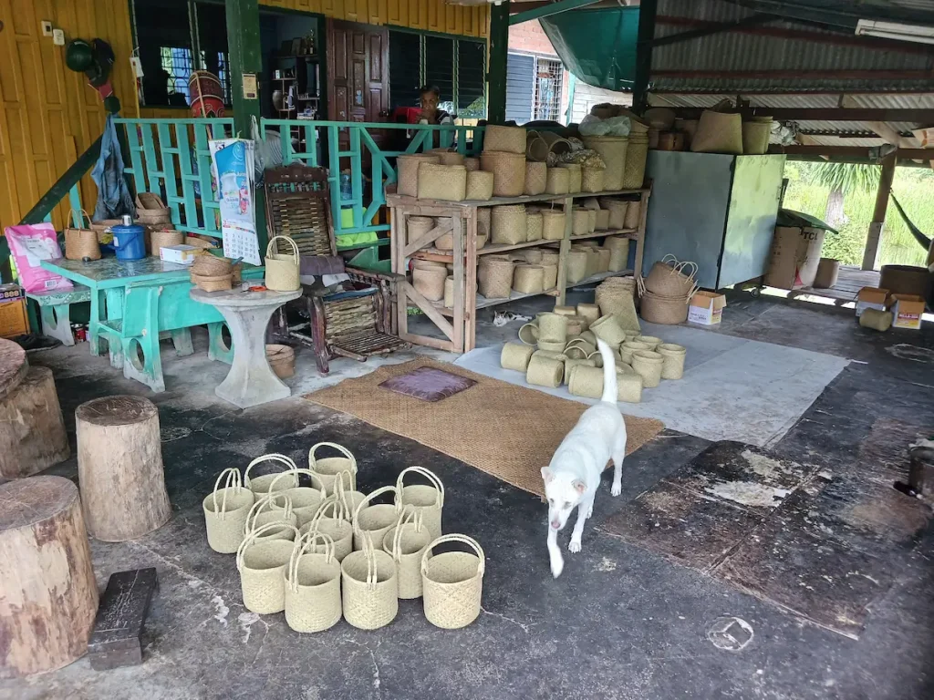 作業場の棚や床に並ぶカチュー(水草の一種)で編まれたバスケットと自由に動き回る白い飼い犬
